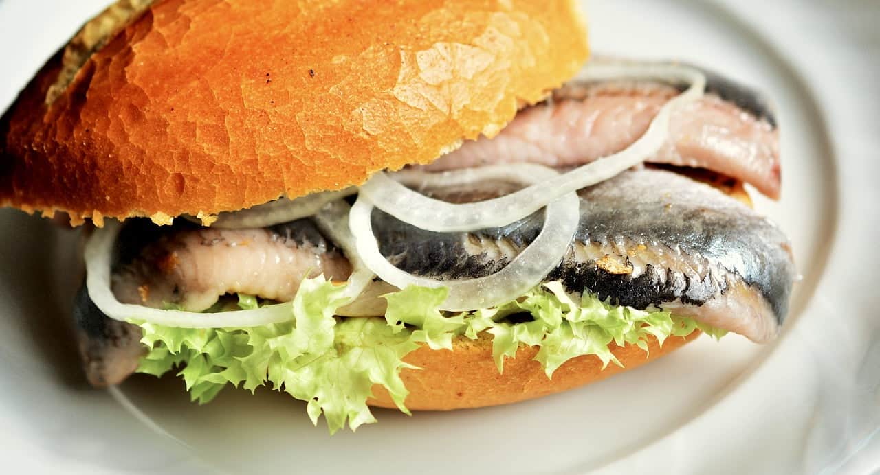 dream meaning Herring