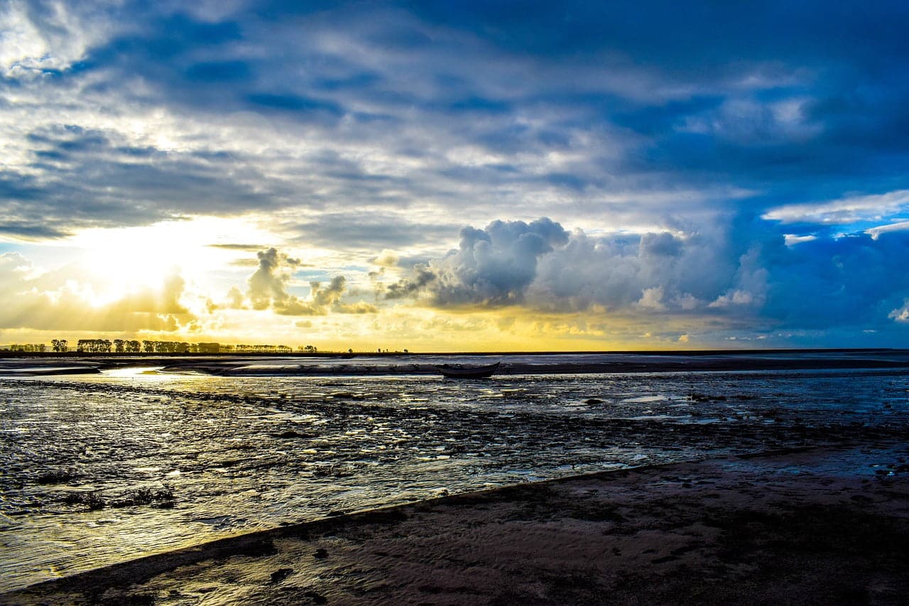 dream meaning High Tide