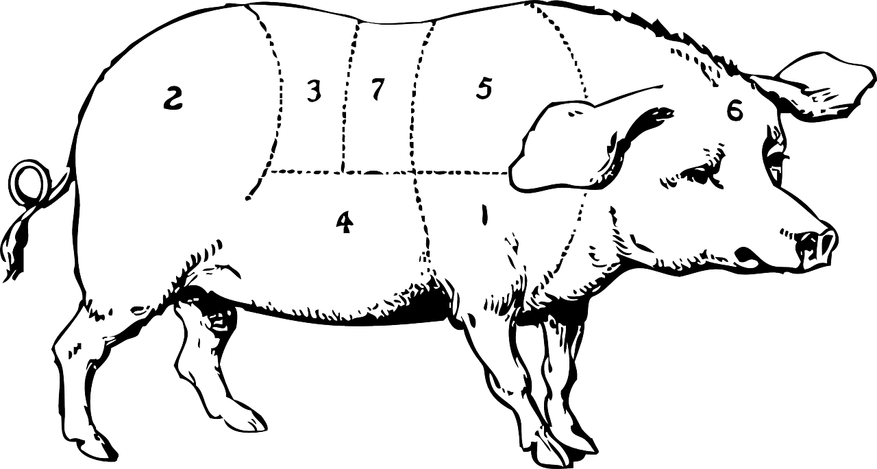 dream meaning Hogs
