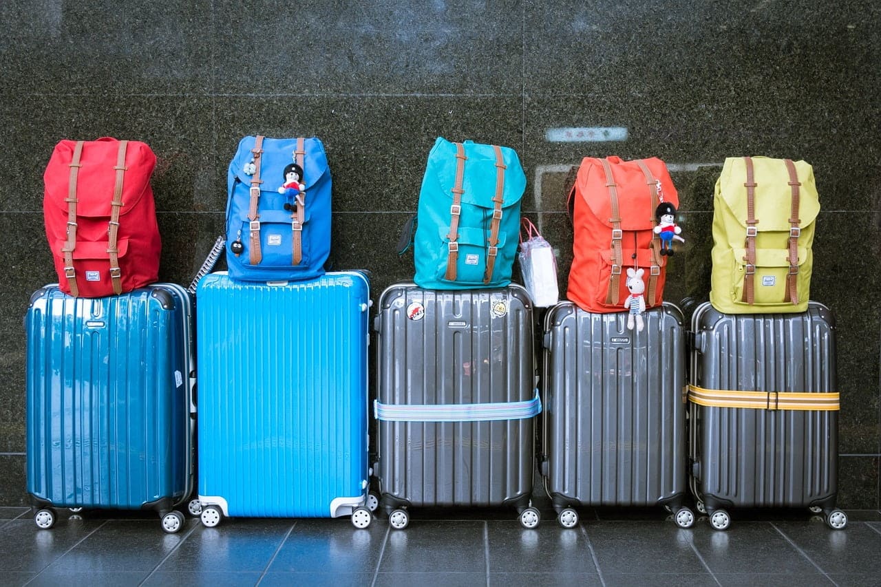 dream meaning Holiday Bags