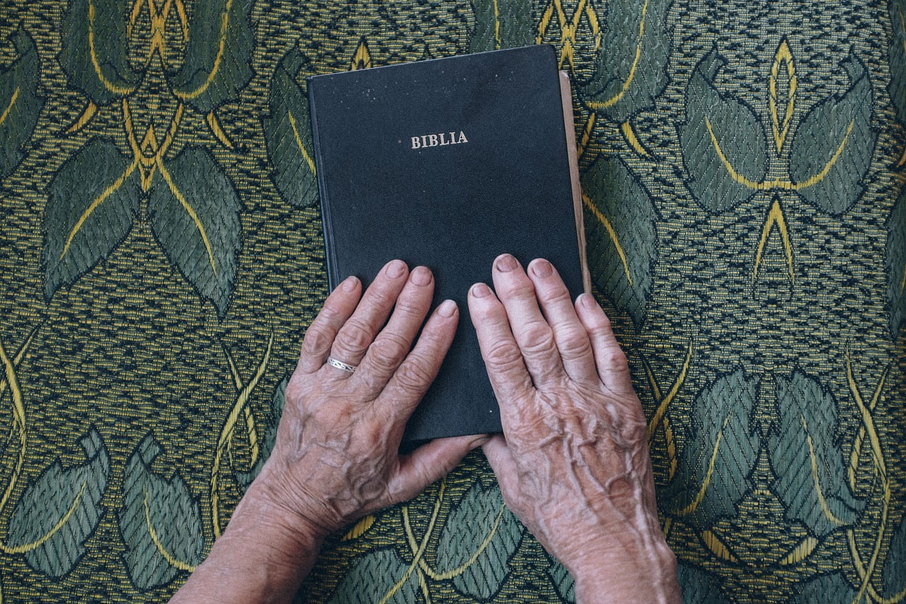 dream meaning Holly