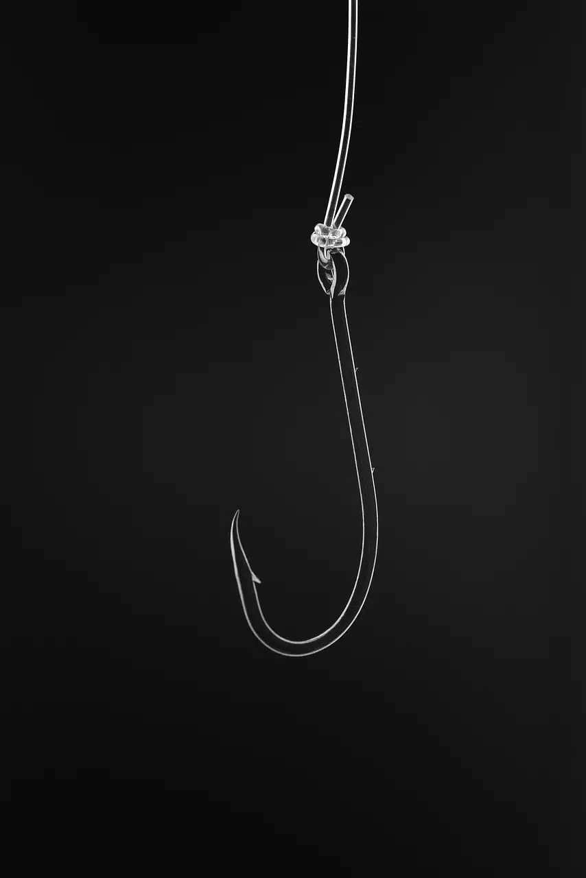 dream meaning Hook