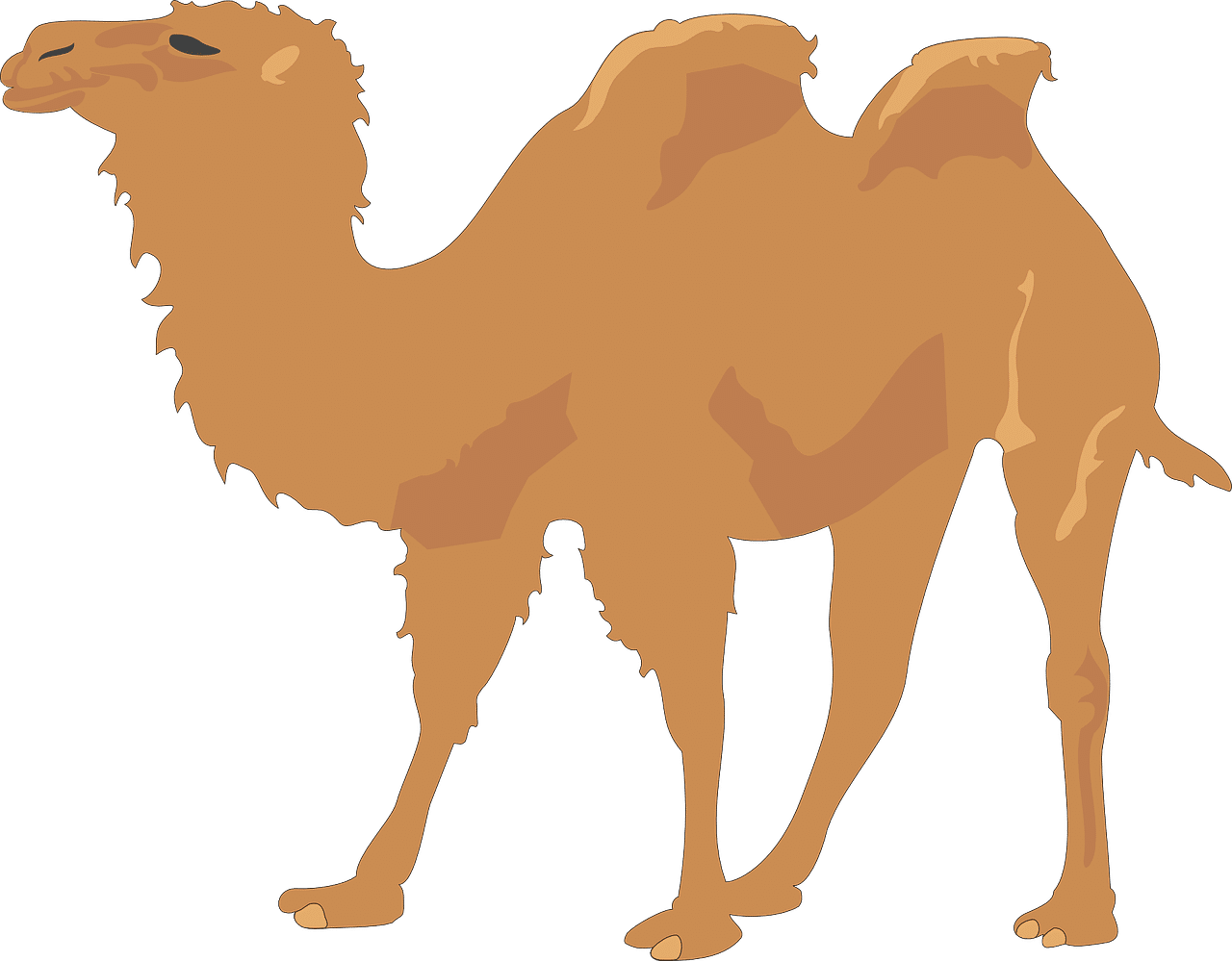 dream meaning Hump