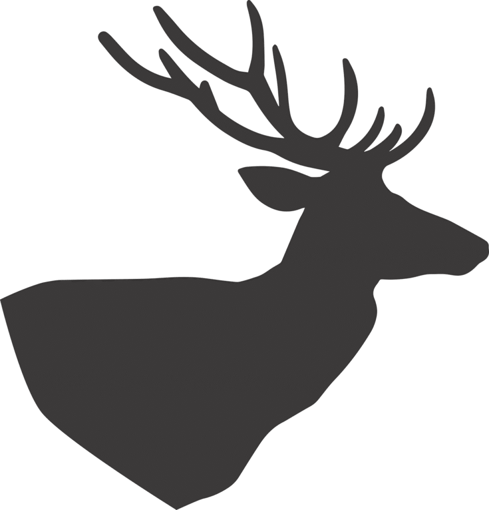 Hunting horn Dream meaning Dream Dictionary