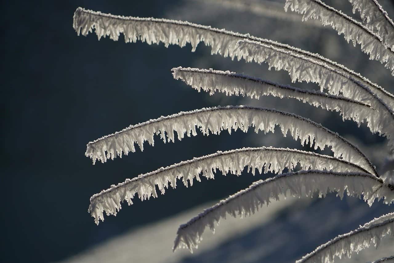 dream meaning Icicle