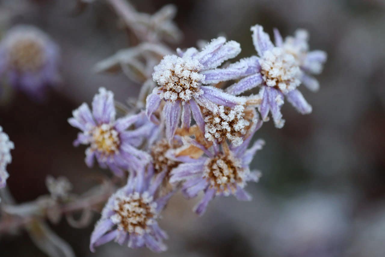dream meaning Icicles