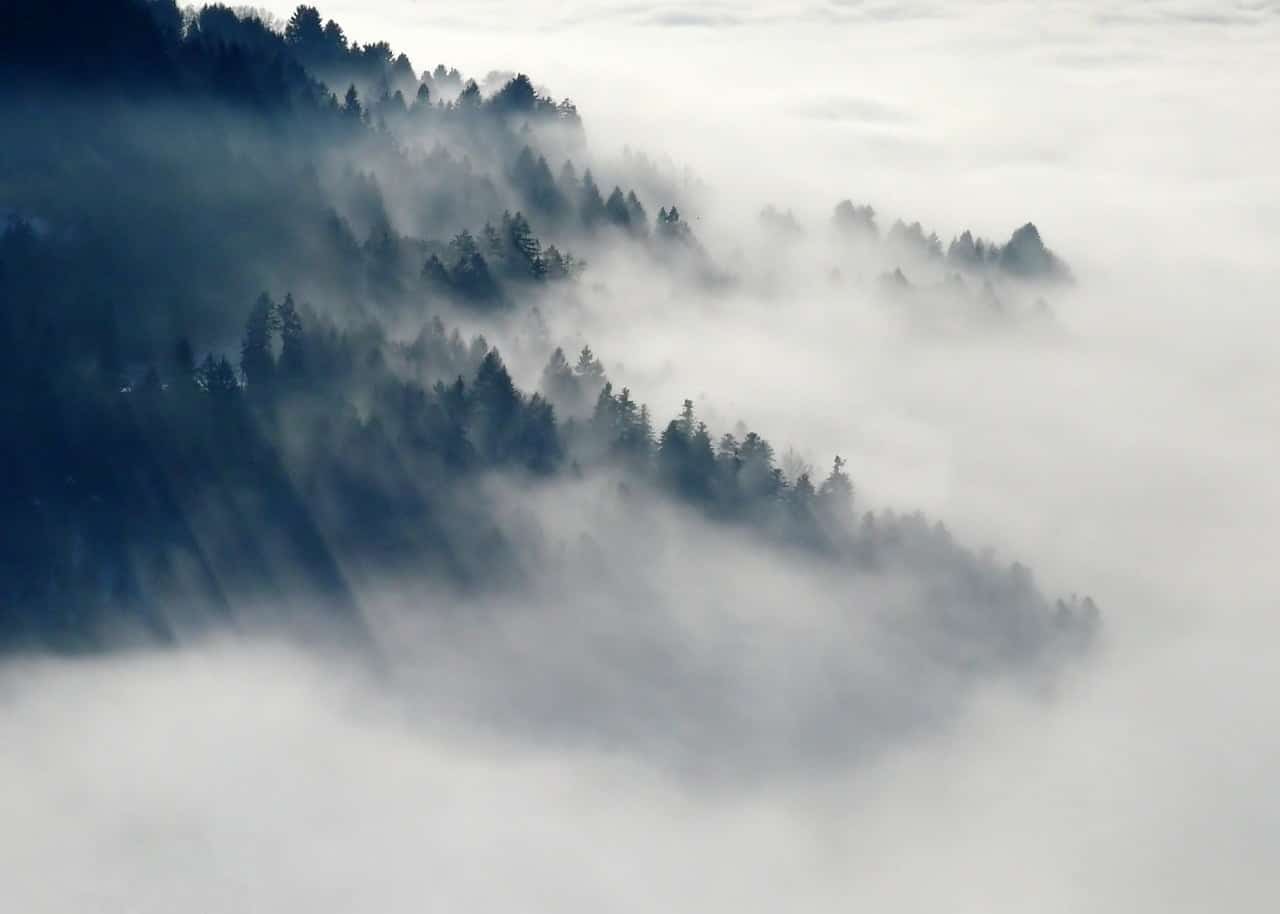 dream meaning Idyll