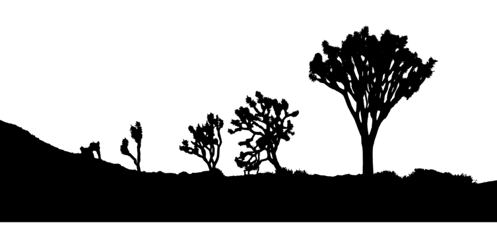 Joshua Tree Dream meaning