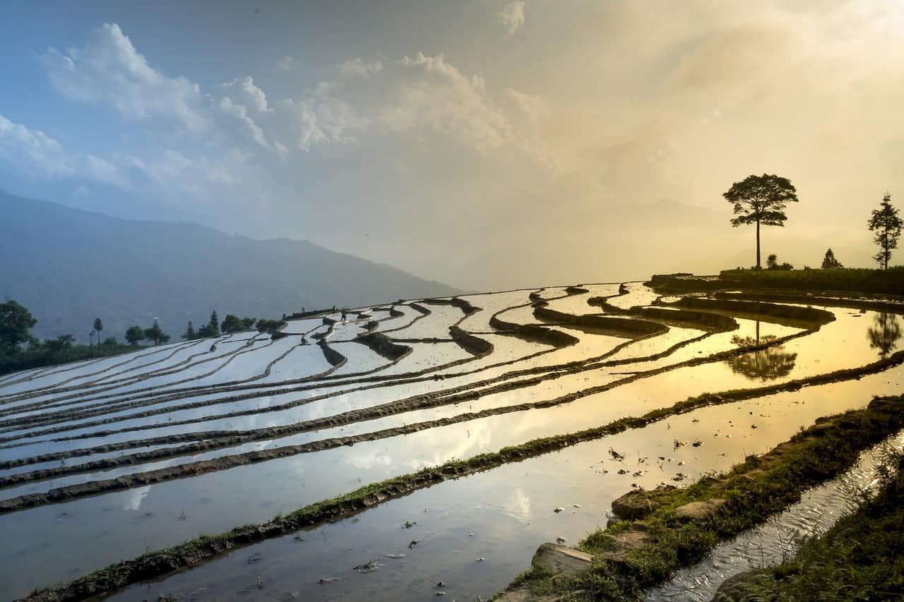 dream meaning Land