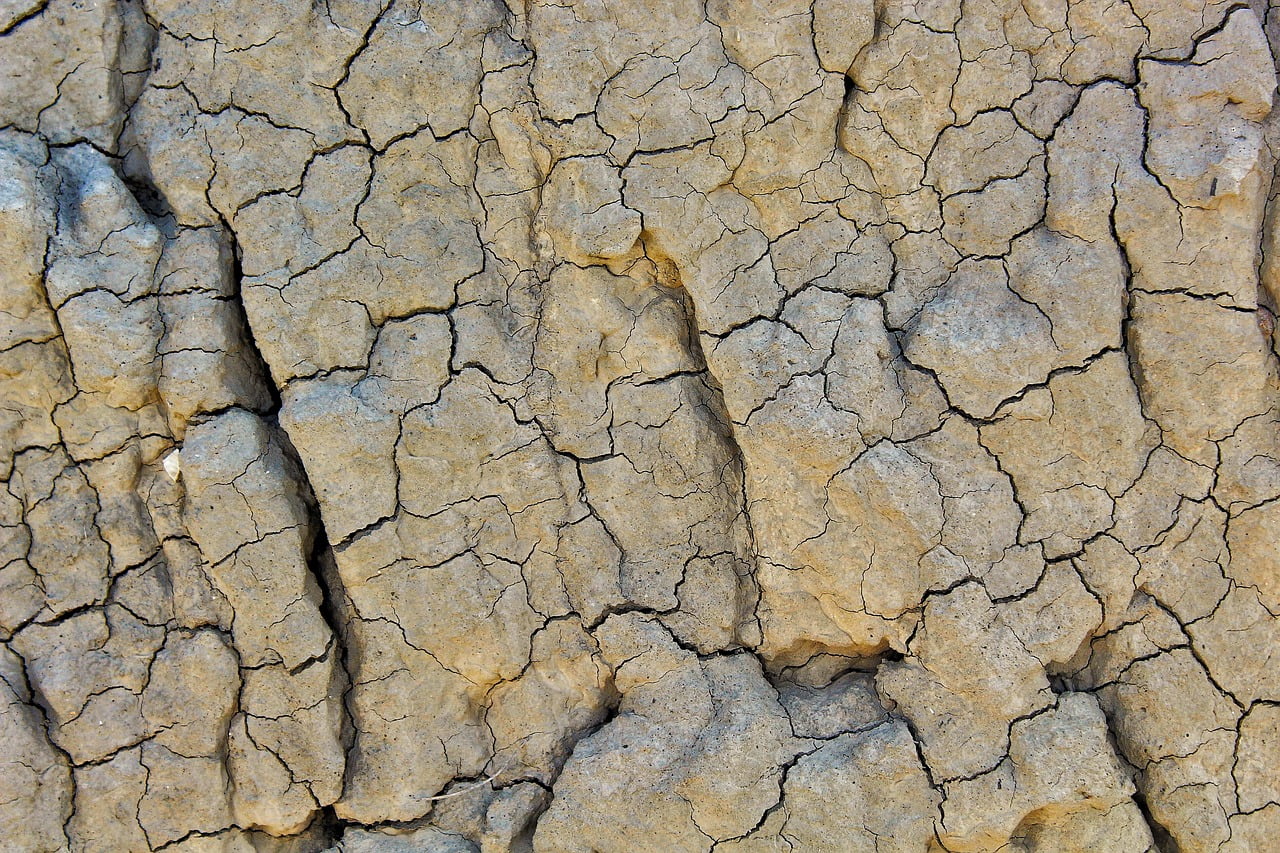 dream meaning Landslide
