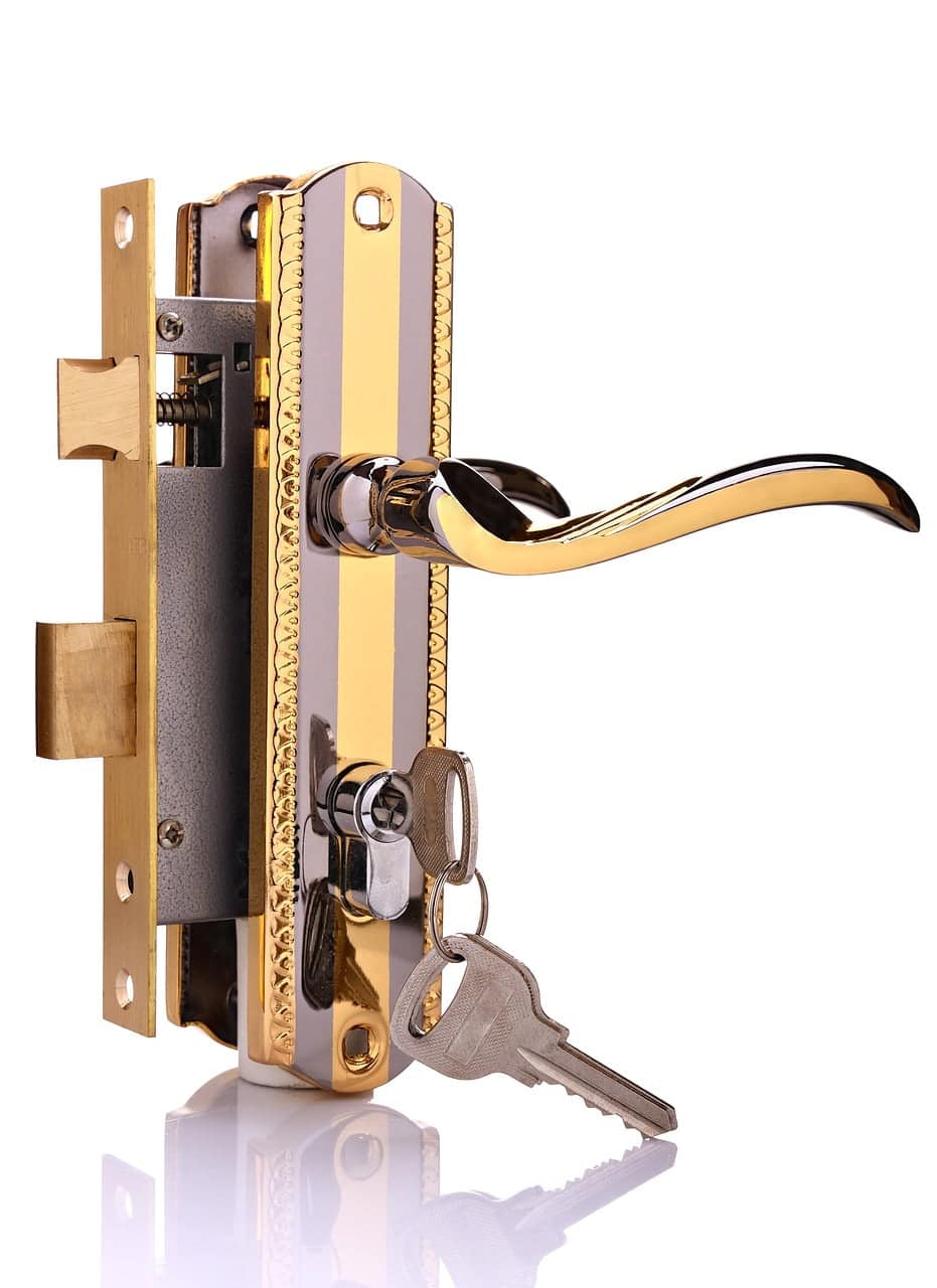 dream meaning Latch