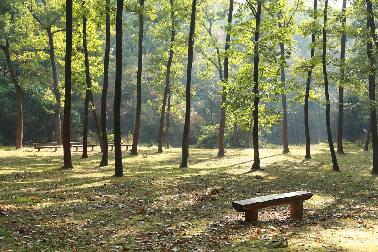 dream meaning Lawn chair