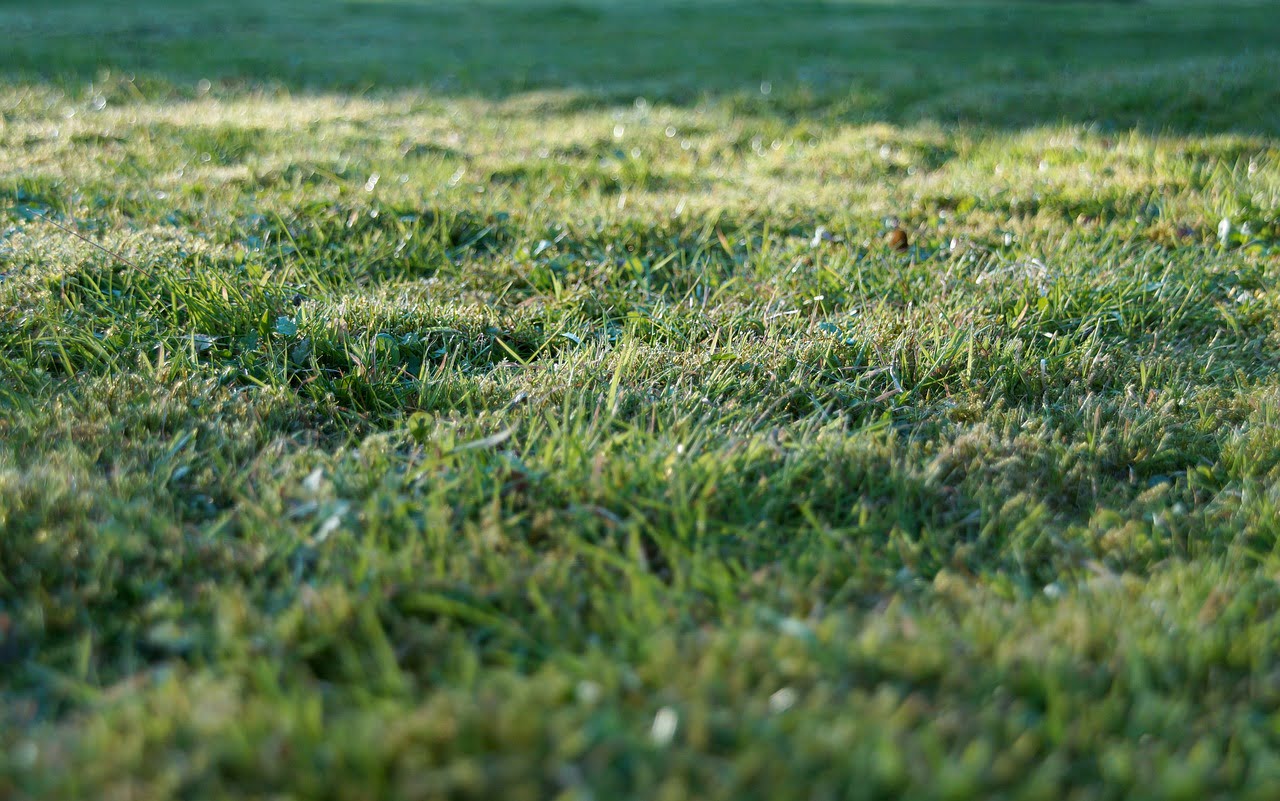 dream meaning Lawn Mower