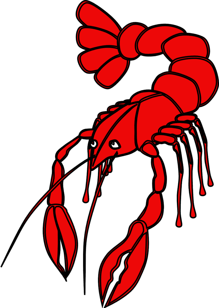 Lobster Dream meaning