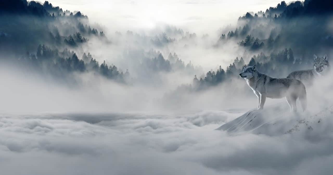 dream meaning Loneliness