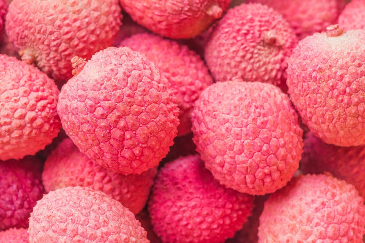 dream meaning Lychee