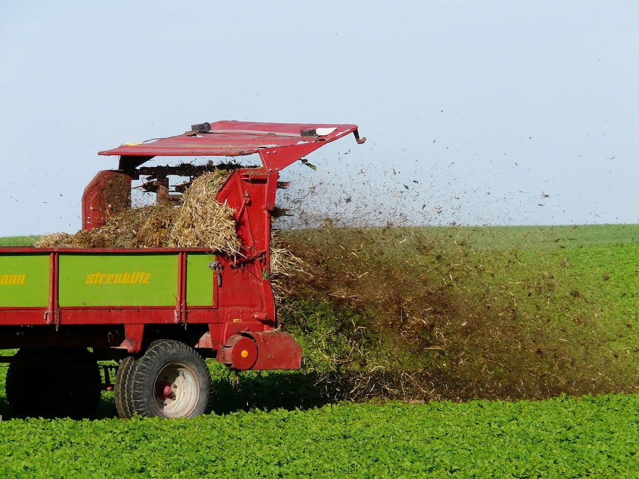 dream meaning Manure