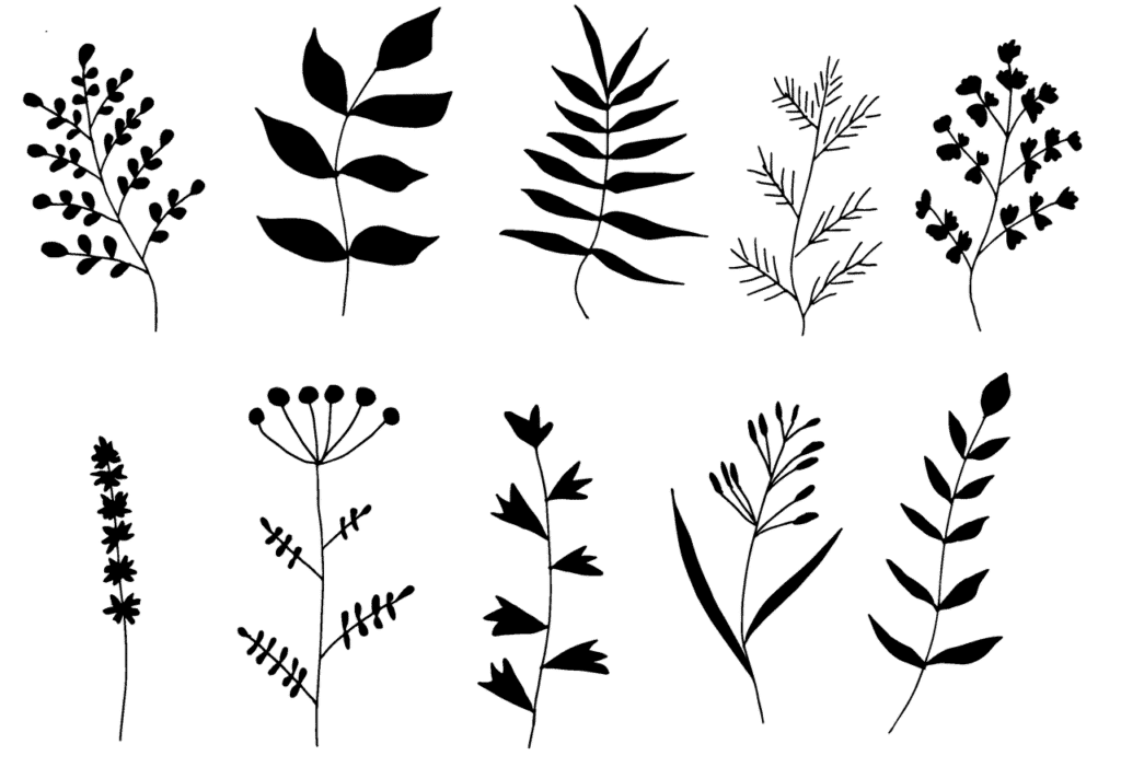 Marjoram Dream Dictionary Marjoram Dream meaning