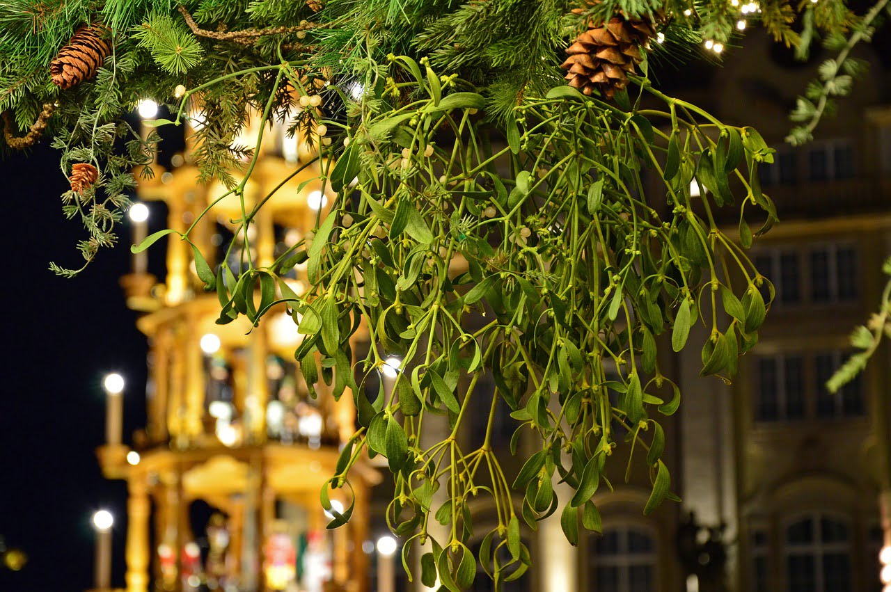 dream meaning Mistletoe