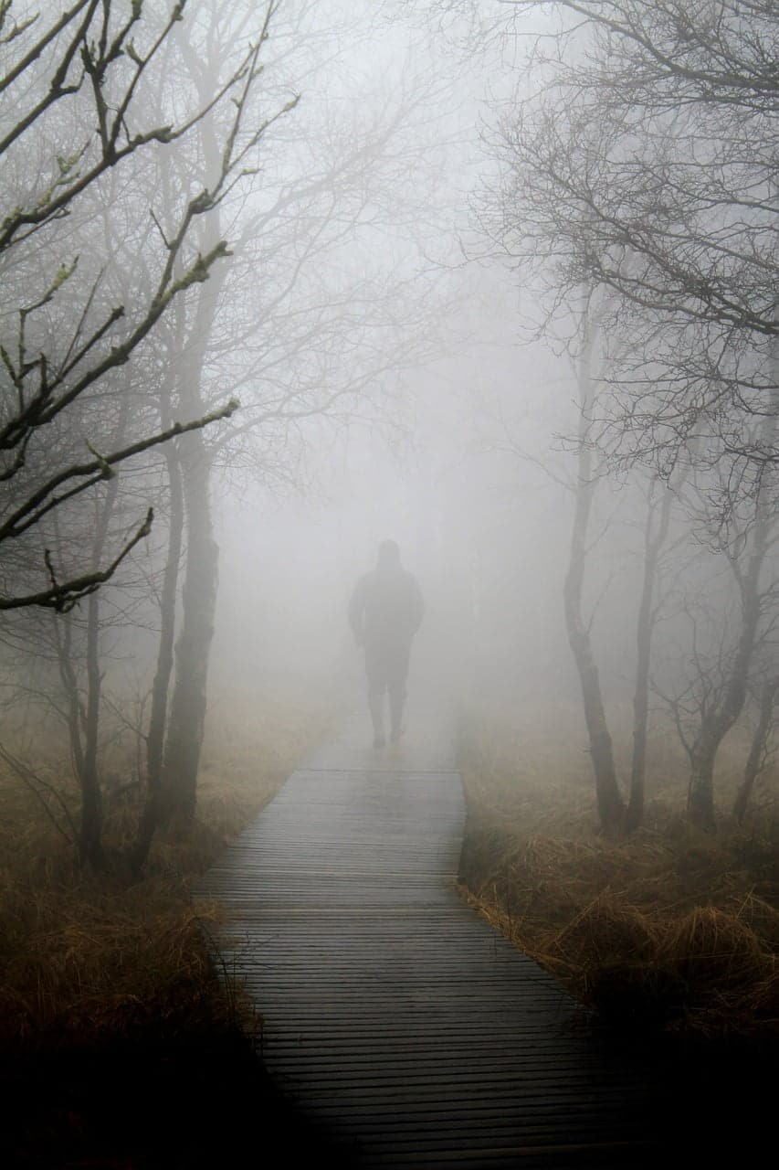 dream meaning Moor