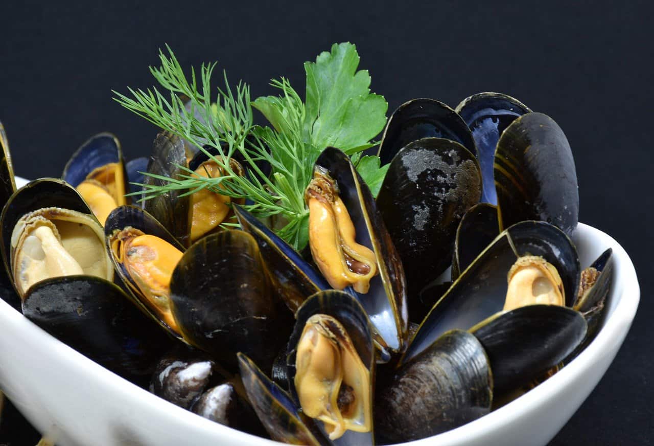 dream meaning Mussels