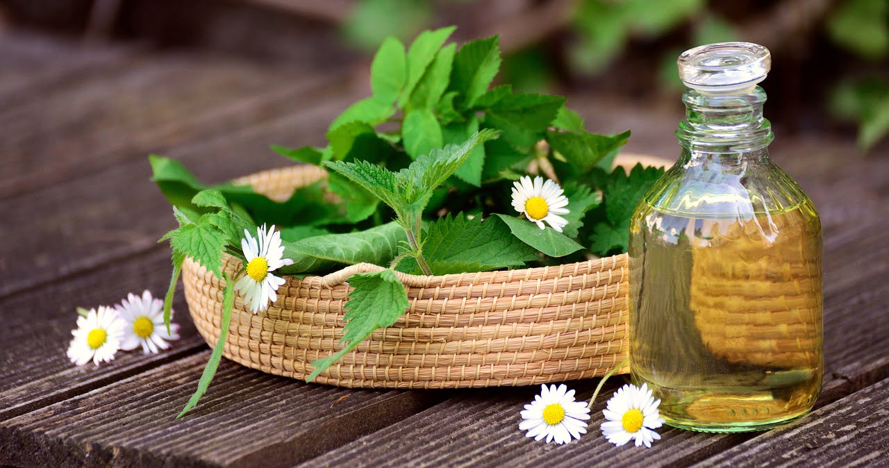 dream meaning Nettles