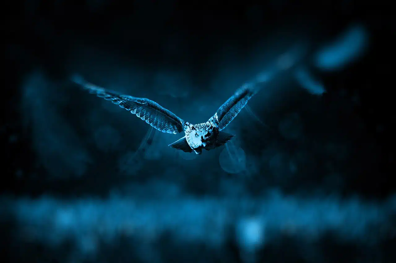 dream meaning Owl