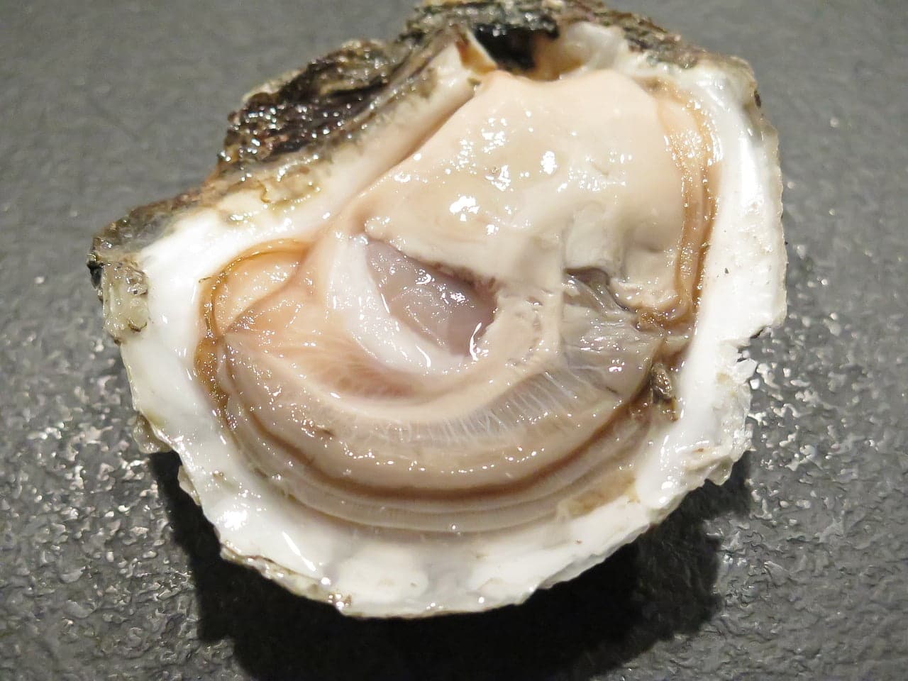 dream meaning Oysters