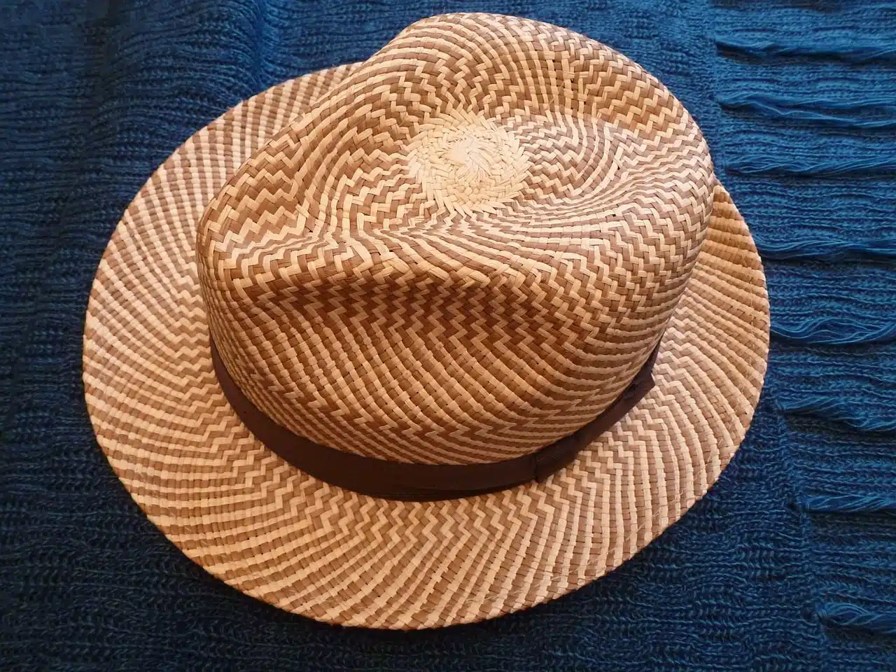dream meaning Panama hat