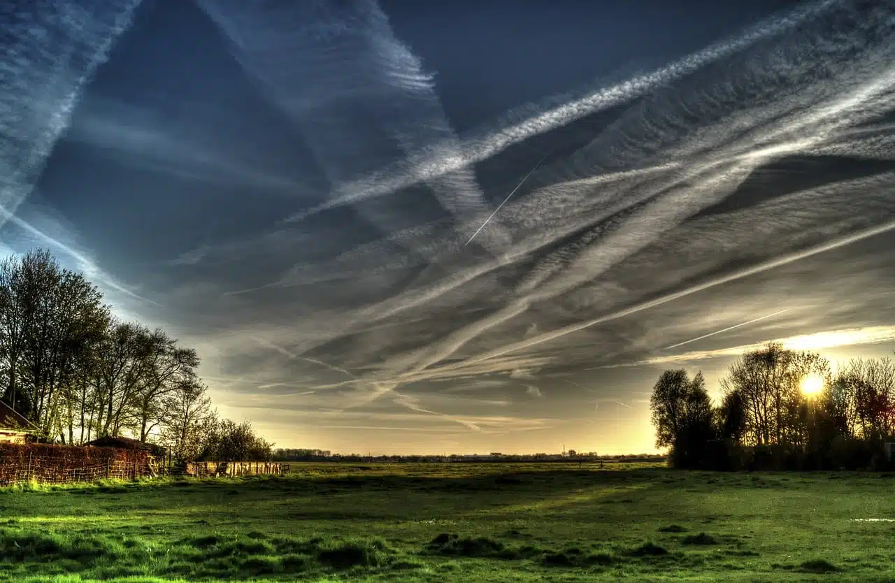 dream meaning Pasture