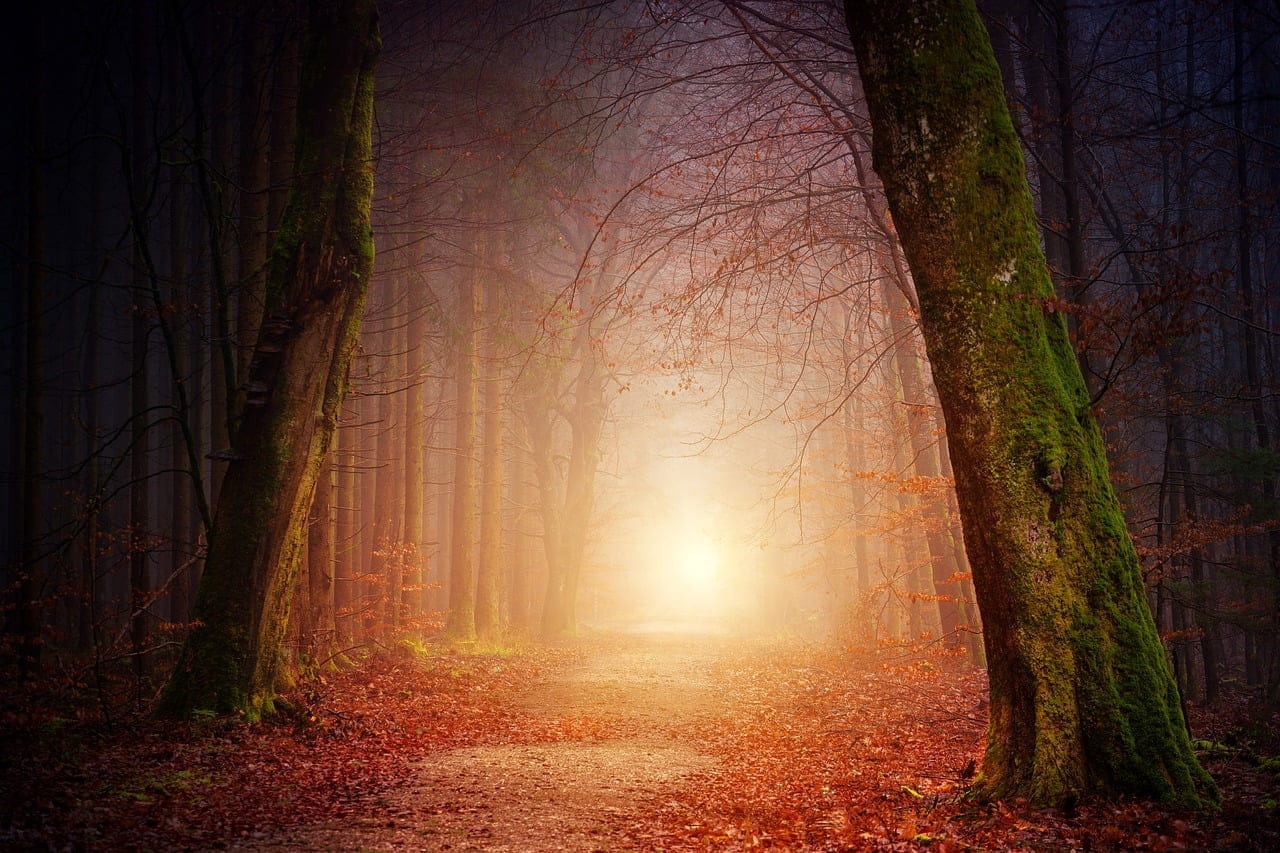 dream meaning Path