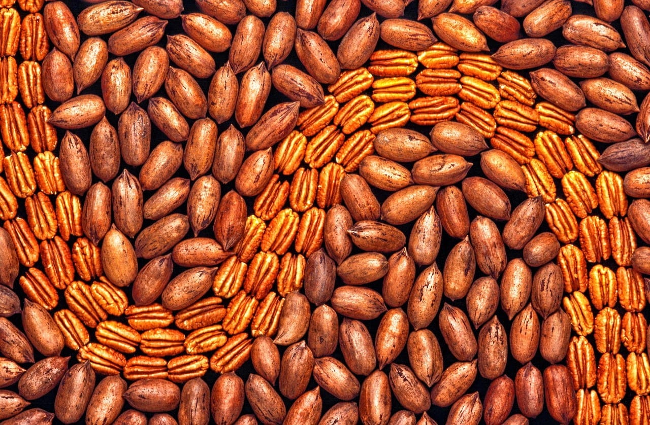 dream meaning Pecans