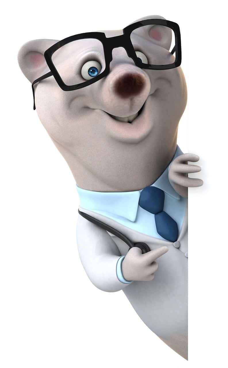 dream meaning Physician