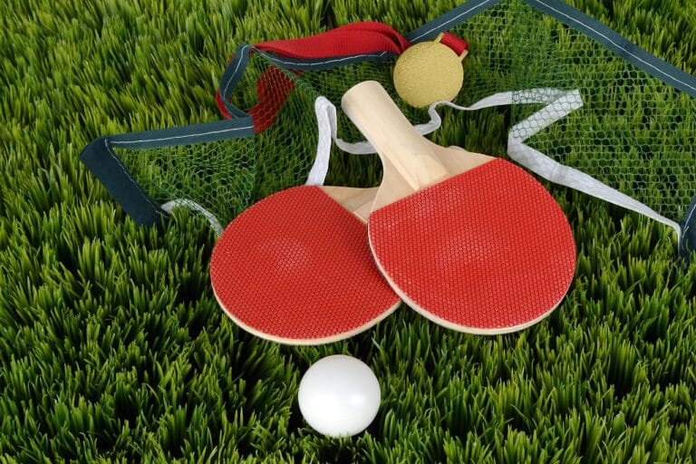 Ping Pong Dream meaning