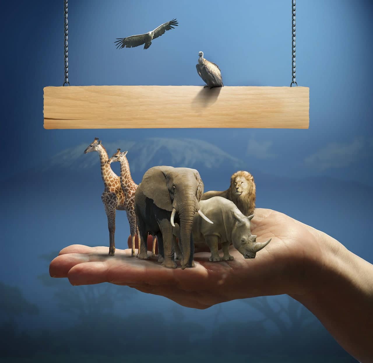 dream meaning Poacher