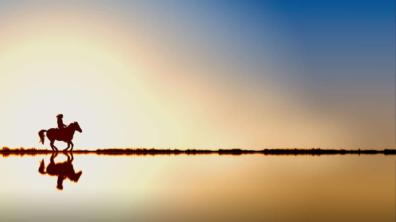 dream meaning Pond