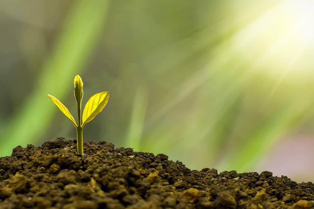 dream meaning Profits