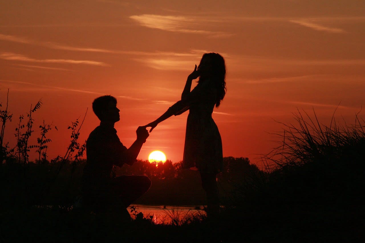 dream meaning Proposal
