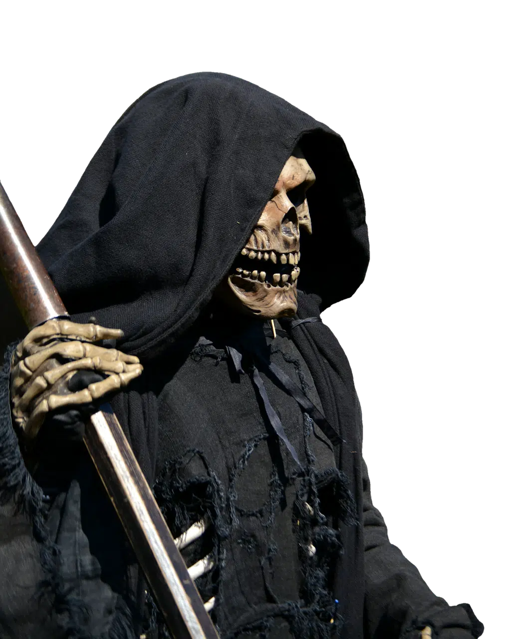 dream meaning Reaper