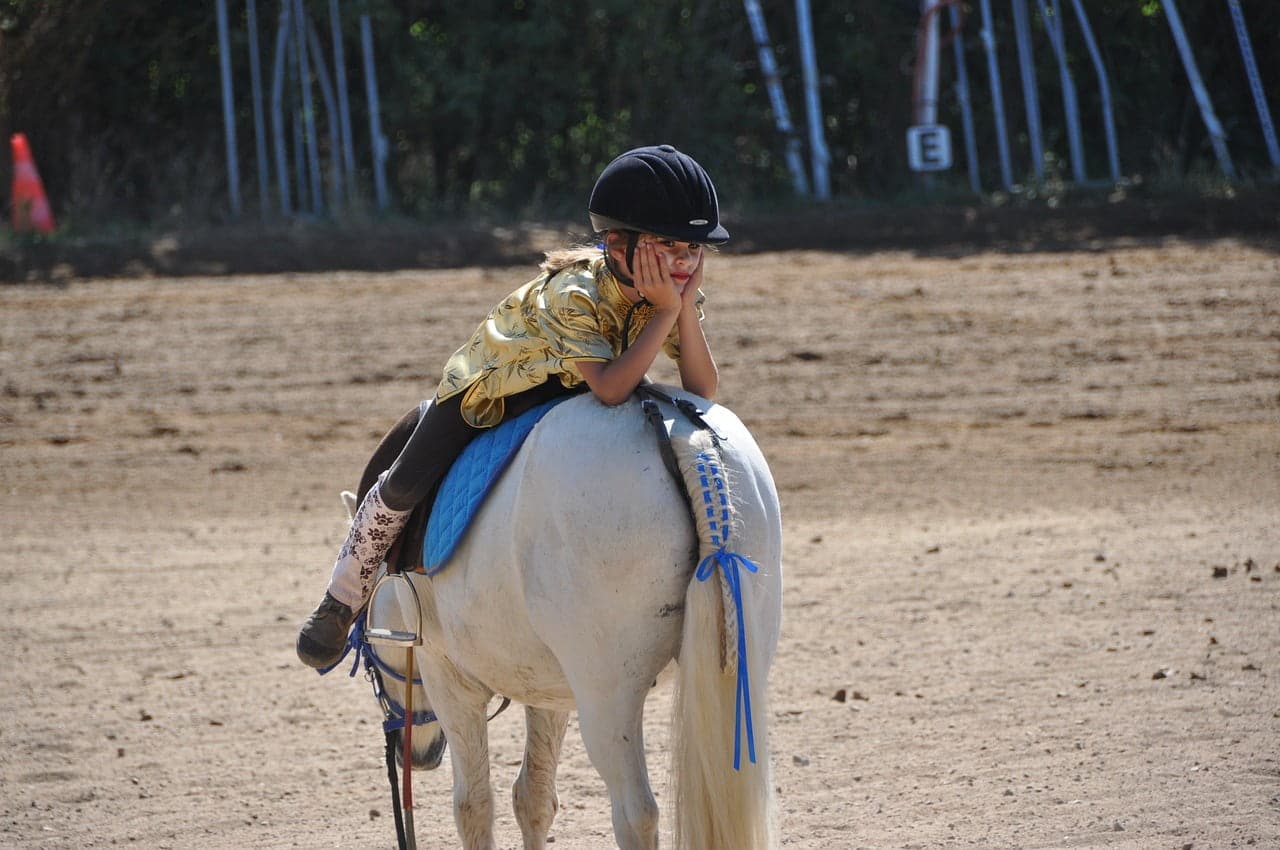 dream meaning Riding School