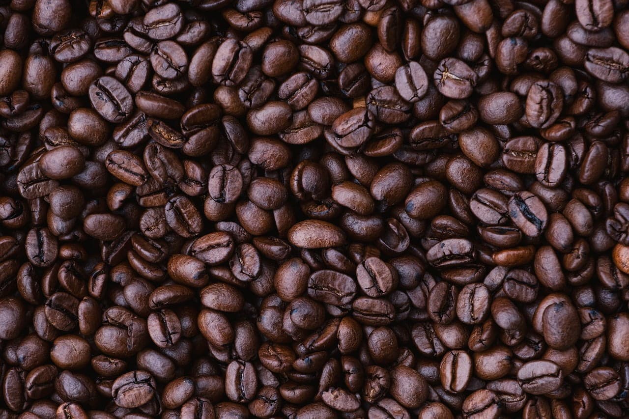 dream meaning Roast