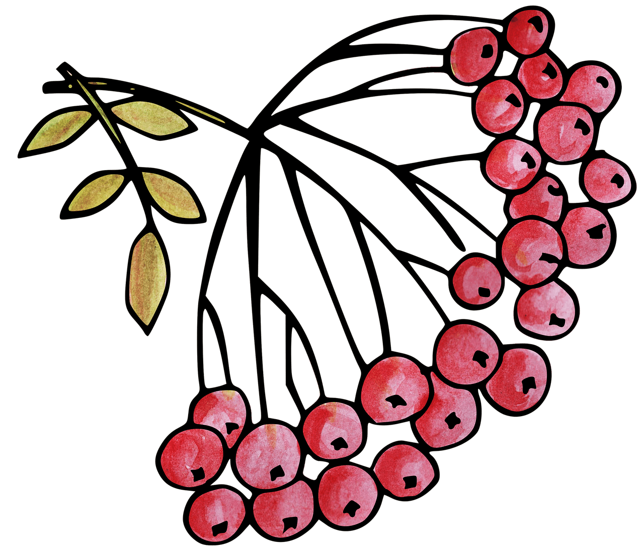 dream meaning Rowan tree