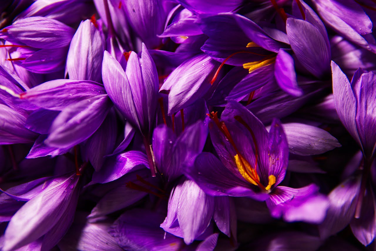 dream meaning Saffron