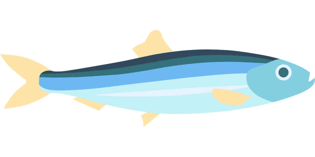 Sardines Dream meaning