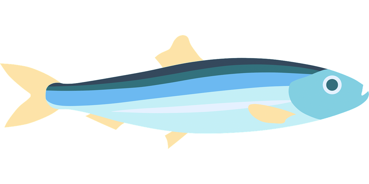 dream meaning Sardines