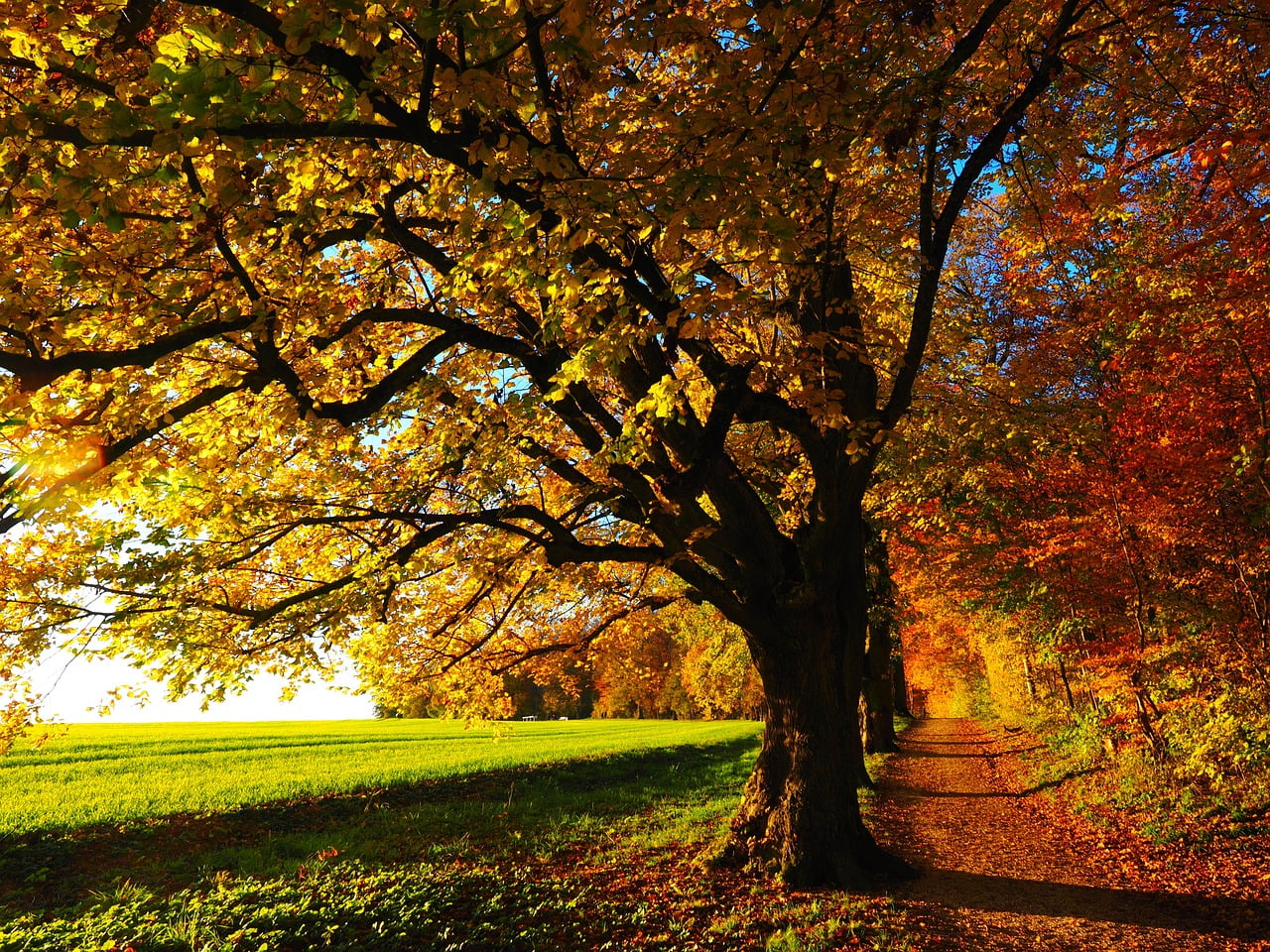 dream meaning Season