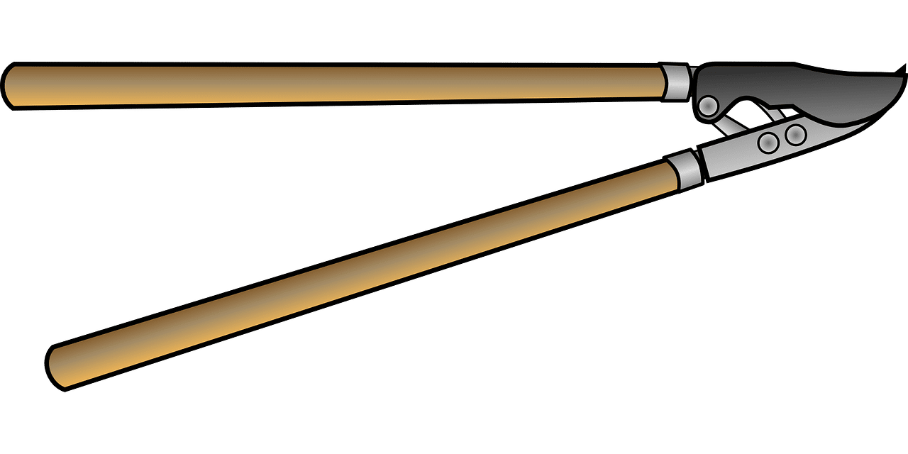 dream meaning Shears