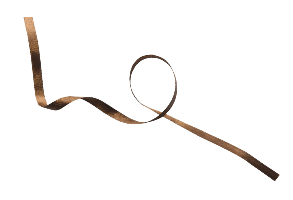 Shoelace Dream meaning