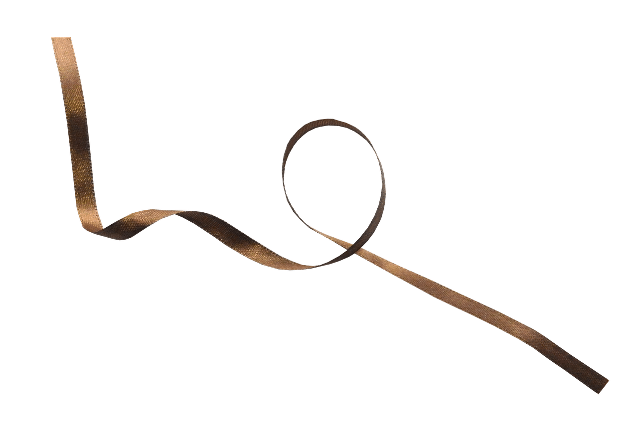 dream meaning Shoelace