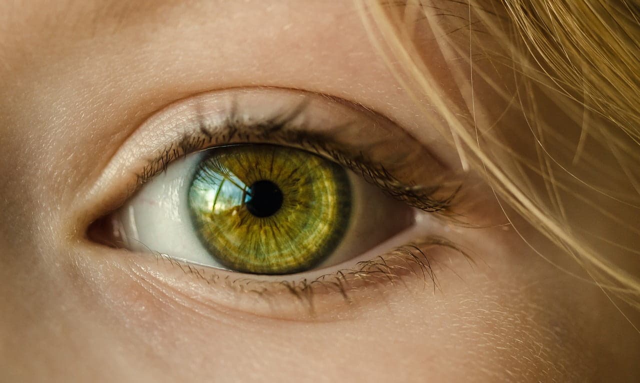 dream meaning Sight
